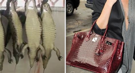 hermes kills alligator to make bags|hermes alligator vs crocodile.